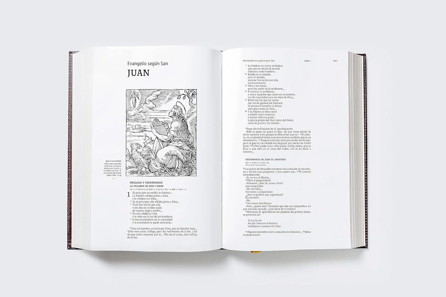 Biblia Católica Ilustrada - Illustrated Catholic Bible: Spanish Edition - Image 4