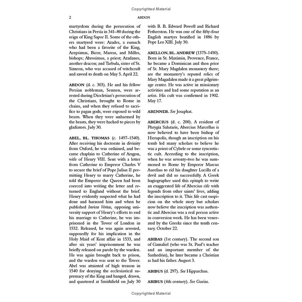Dictionary of Saints - Image 6