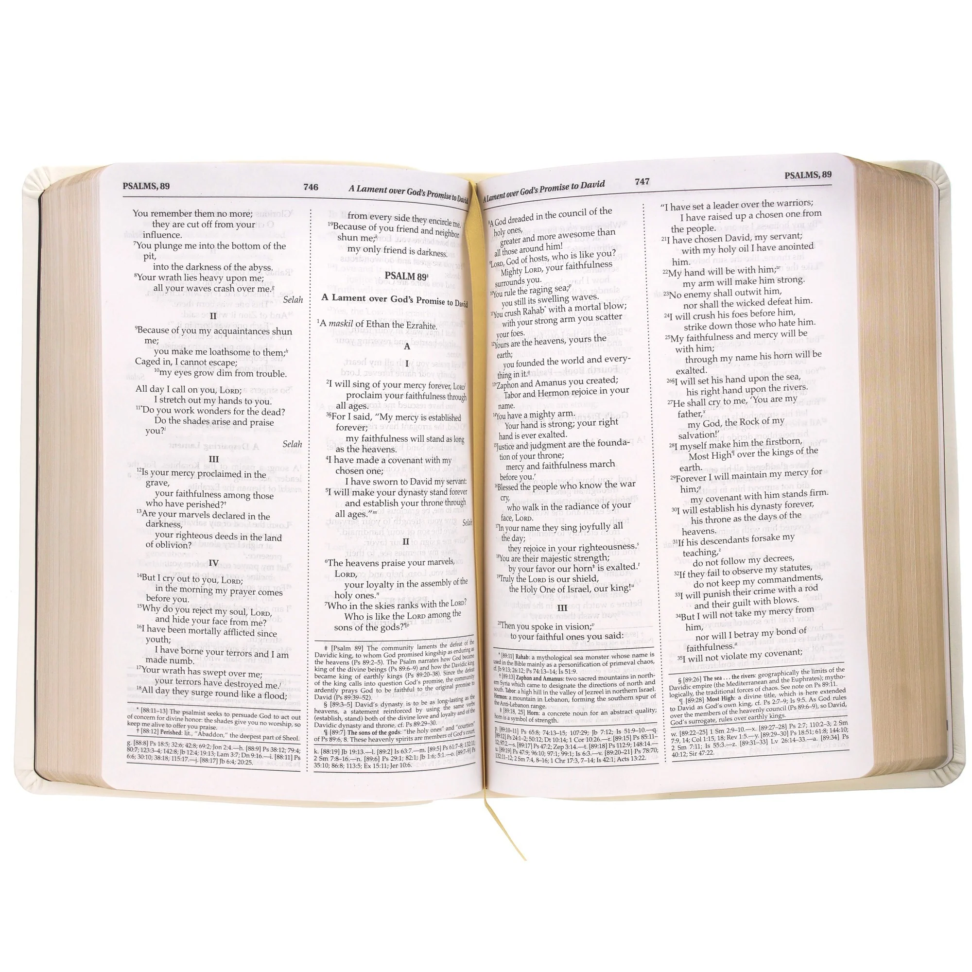 Personalized Damask Bible - Image 18