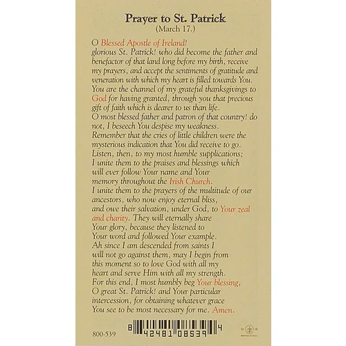 St. Patrick - Prayer Card - Image 2